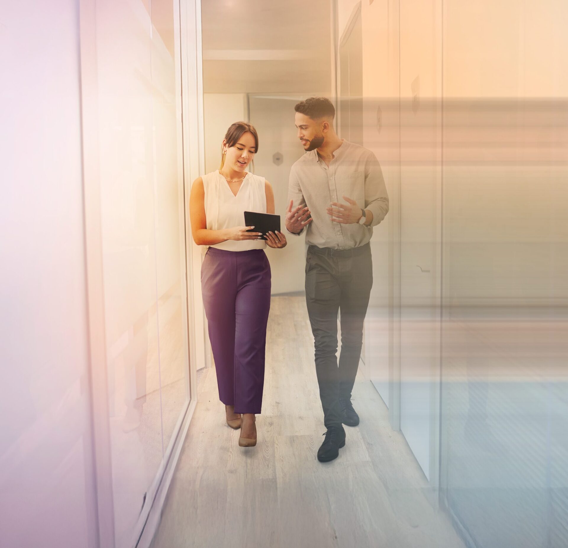 partners for progress image