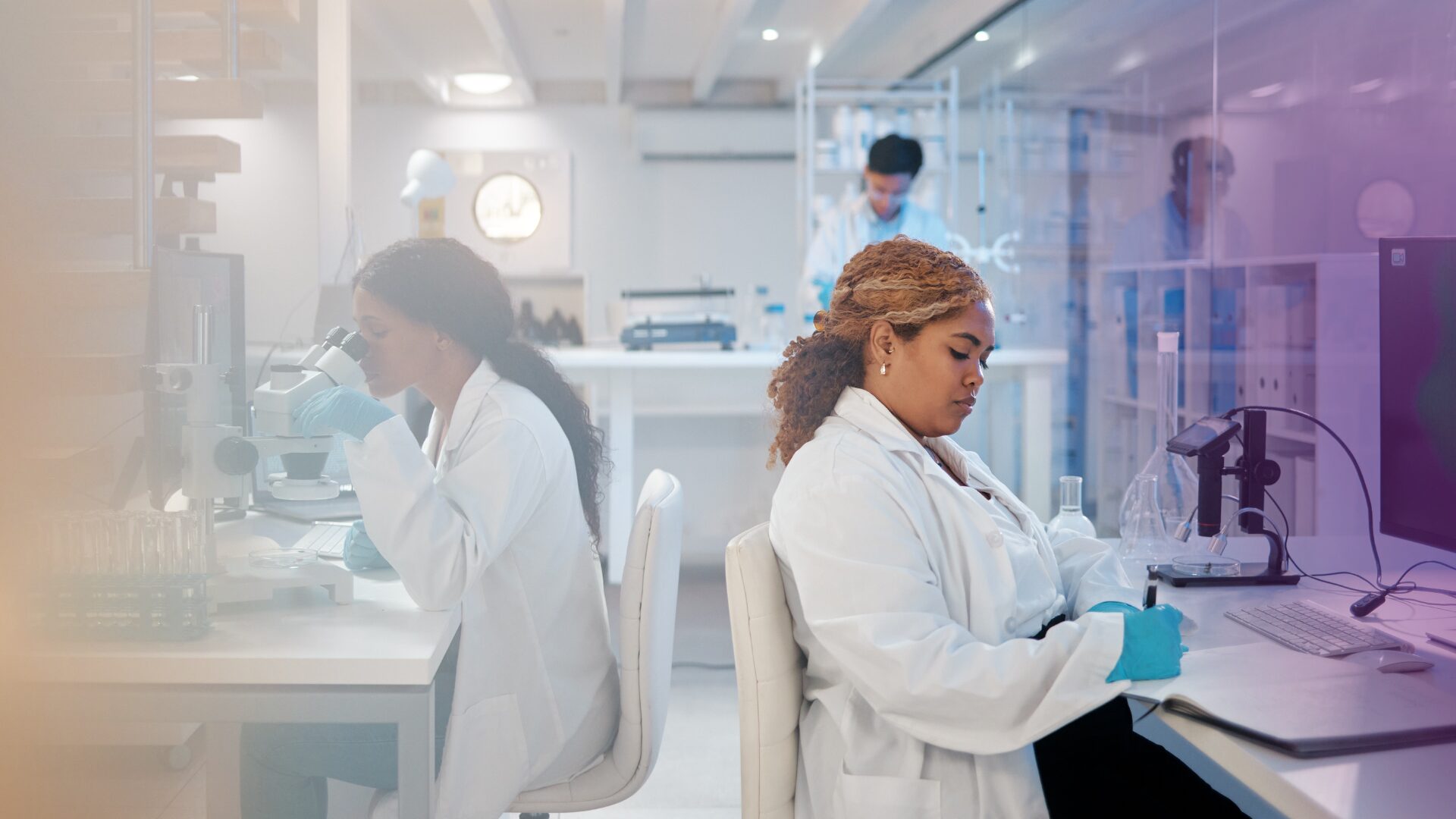 Secure a life sciences job with an academic background image