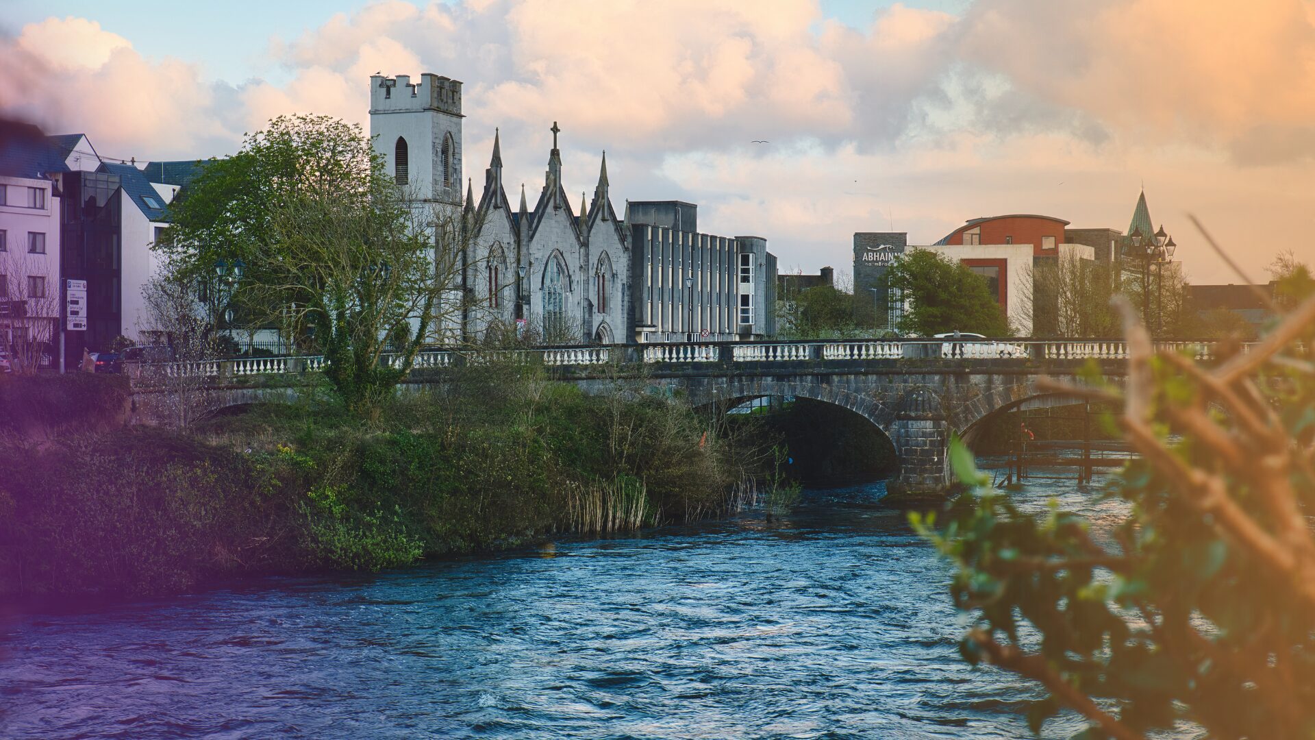 Top 10 pharmaceutical companies in Ireland image