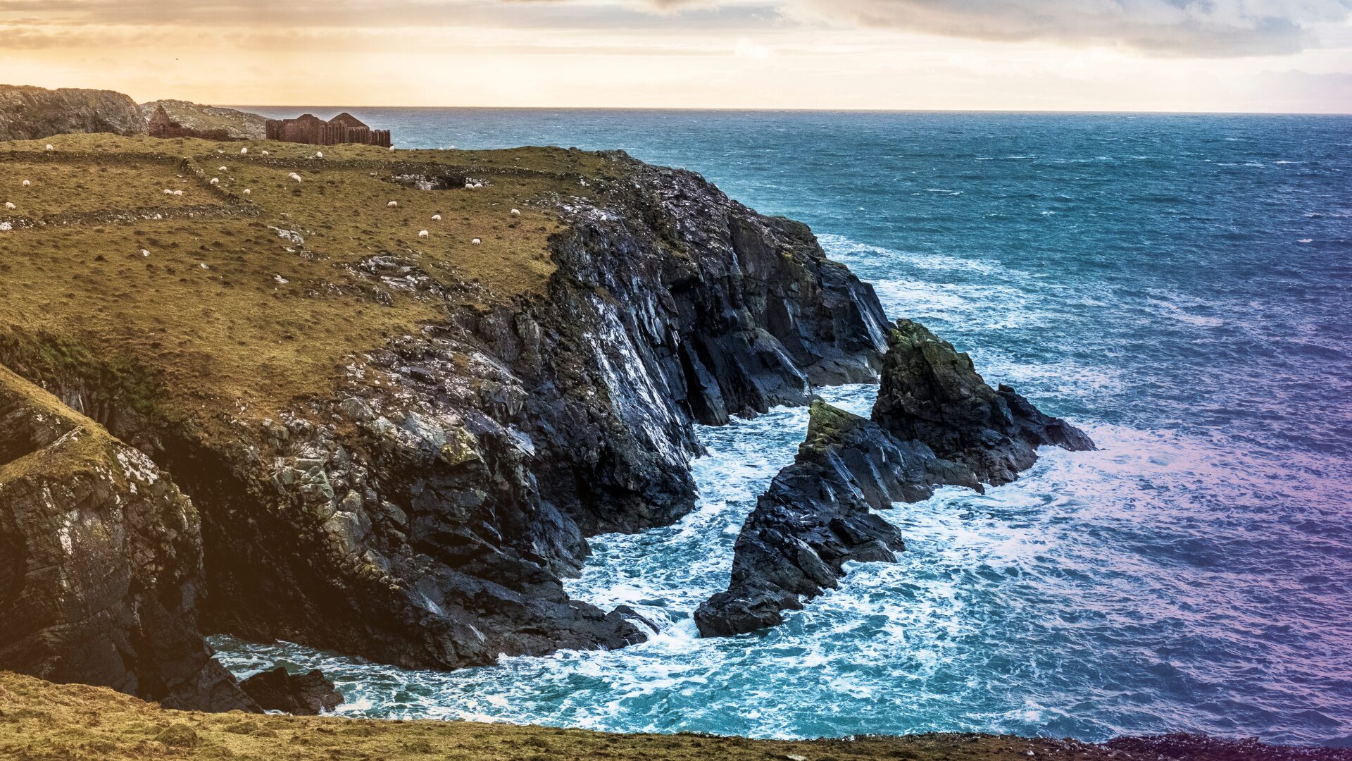 building a high performing QA team in a remote location image