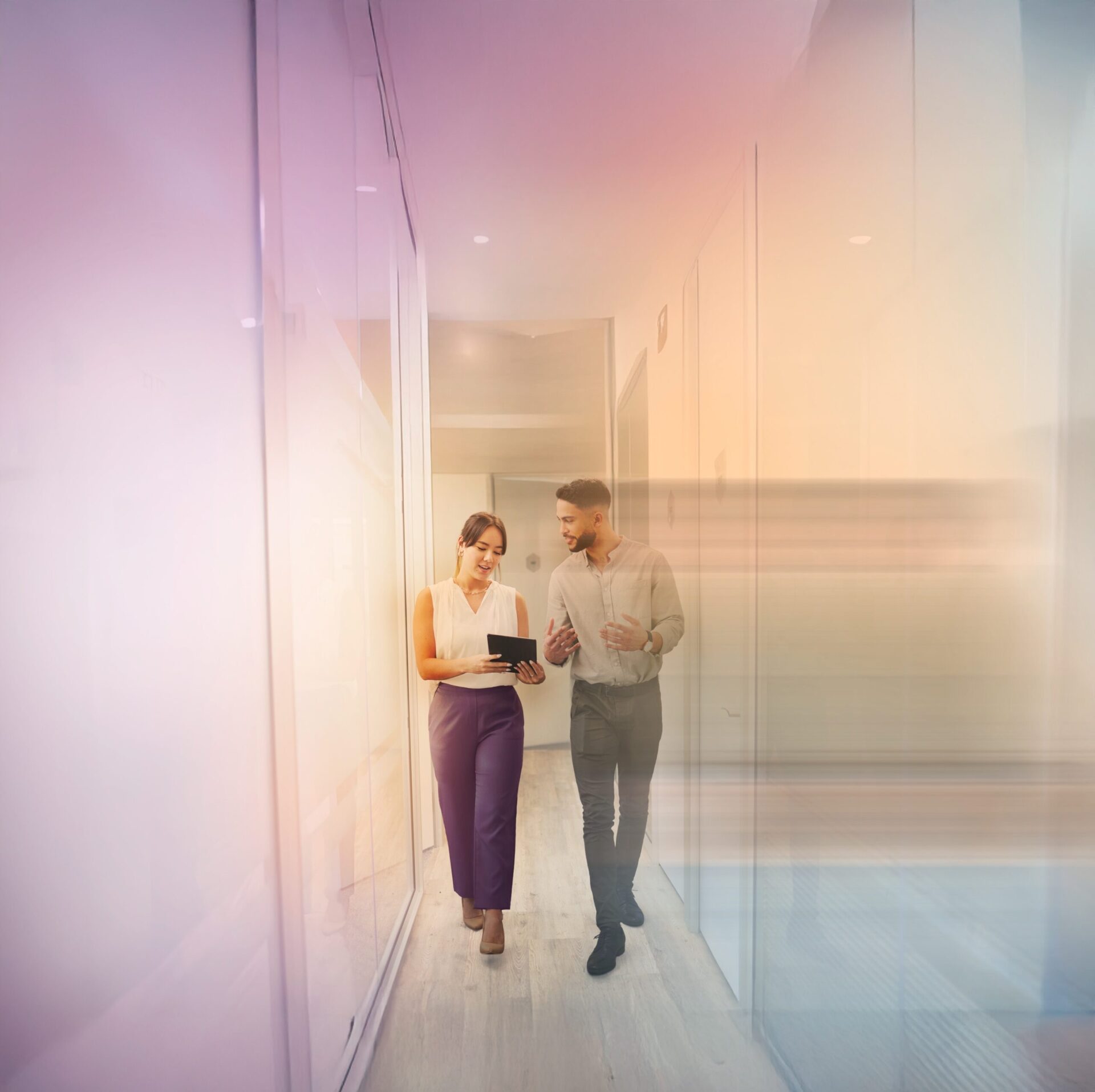 partners for progress image